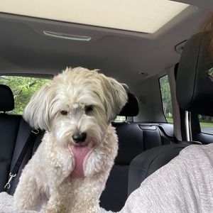 Meet your Posher, Sheetal